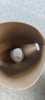 25340g_8db78866bba4622_sm.jpeg