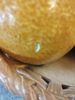 25361m_8db78a5a80ef252_sm.jpeg
