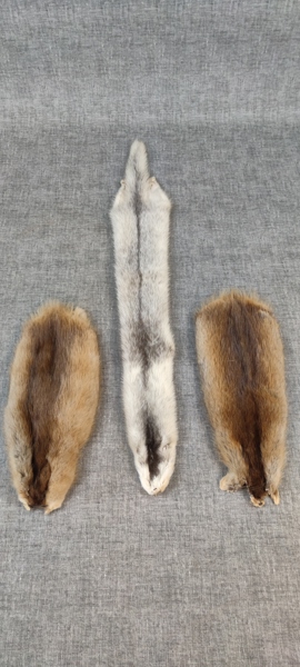 Djurpälsar. Mink & Bisamråtta.