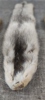 25506c_8db7e4022094362_sm.jpeg