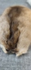 25506d_8db7e4022182707_sm.jpeg