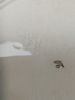25669n_8db8373d93859d3_sm.jpeg