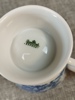 26307n_8db98d173677e36_sm.jpeg