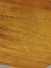 26733k_8dba87ee5037734_sm.jpeg