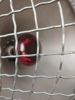 26737c_8dba889931cca47_sm.jpeg