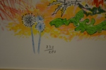 26885d_8dbadeb083cbb07_sm.jpeg