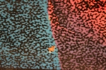 26891f_8dbadecd1d7e6b0_sm.jpeg