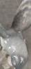 28389l_8dbdf8e53f541ca_sm.jpeg