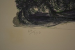 30472c_8dc297ef9a79537_sm.jpeg