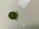 32605s_8dc74b49b7884e3_sm.jpeg
