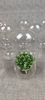 36679b_8dce79f1590a173_sm.jpeg
