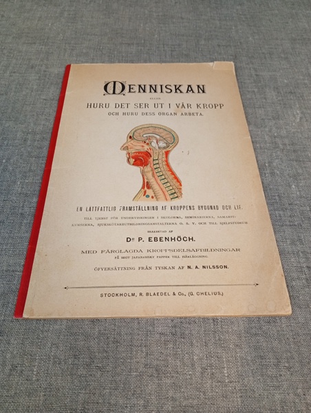 Menniskan eller huru det det ser ut i vår kropp och huru dess organ arbetar. DR. P. Ebenhöch. 1892.