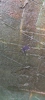 38163c_8dd1e8a818c73d9_sm.jpeg