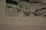 41028d_sm.jpeg