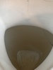 41039d_8dd87bac9afc256_sm.jpeg