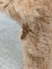 41049f_8dd87bc173ffc45_sm.jpeg