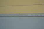 41122n_8dd8897aac802f4_sm.jpeg