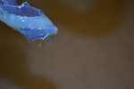 41265i_8dd8f17ab82e2e3_sm.jpeg