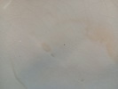 41428g_8dd94542c01336b_sm.jpeg
