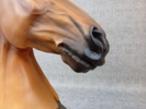 41638f_8dd9c2637234c6d_sm.jpeg