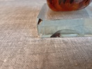 41844f_8dda1a3e7c59674_sm.jpeg