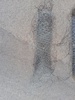 41922c_8dda28836de5d06_sm.jpeg