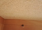 41974q_8dda433a8549861_sm.jpeg