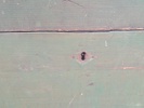 41978r_8dda43650ec23fb_sm.jpeg