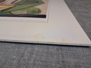 42462h_8ddaf10f2542efb_sm.jpeg