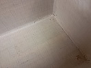 42677f_8ddb3106a0f867c_sm.jpeg