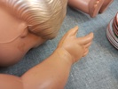 42733h_8ddb3d93fad4256_sm.jpeg