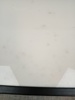 42746i_8ddb4775c7b4226_sm.jpeg