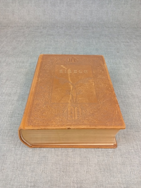 ILLUSTERAD FAMILJE-BIBEL. 1925, Fröleen & comp:s Boktryckeri.