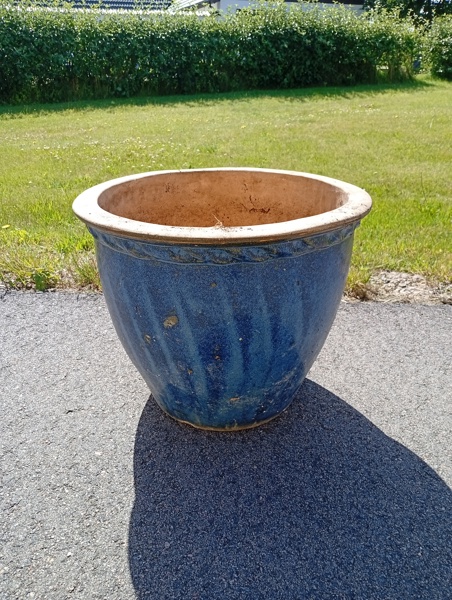 Stor utekruka. Blå Nyans.