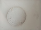 42866e_8ddb7dbc676e6ae_sm.jpeg