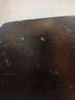 42924f_8ddb939a0ff052e_sm.jpeg