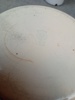 43112m_8ddbd16417186d8_sm.jpeg
