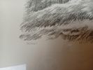 43244c_8ddbdf8b16cbb97_sm.jpeg