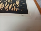 43308d_8ddbf7b7a0608de_sm.jpeg