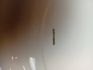 43310j_8ddbf7b9e780deb_sm.jpeg