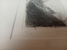 43446c_8ddc4410caa1464_sm.jpeg