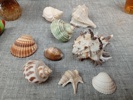Diverse. Bl.a Kikare Winston 10x50, rese-väckarklockor, scandia m.m.