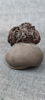 44133s_8ddd1026eb1066f_sm.jpeg