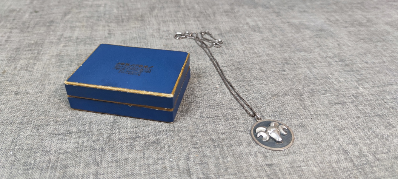 Halsband, silver, 20gram, syratestat.