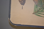 44548c_8ddde185176d282_sm.jpeg