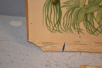 44549c_8ddde1893c60317_sm.jpeg