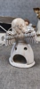44671m_8ddde3f4e157fb3_sm.jpeg