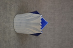 44735d_8dddedd3cb776ba_sm.jpeg