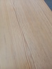 44915h_8dde1713ad026b6_sm.jpeg