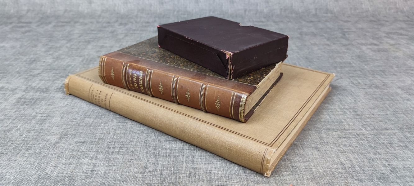 3 Äldre böcker. Eko från talarstolen. John B. Gough, 1892. Charles Dickens, David Copper Field, engelsk text & Sverige i forntid och nutid, Erik Dhalberg.